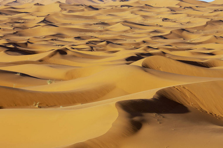 撒哈拉沙漠沙丘日落的背景下戏剧性的天空云非洲