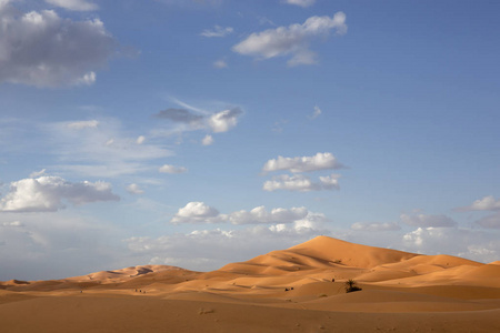 非洲默祖加摩洛哥撒哈拉沙漠惊人的沙丘