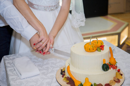 新郎新娘把婚礼蛋糕切在桌子上