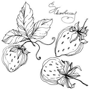 黑白草莓图片
