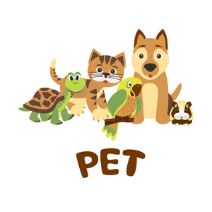 乌龟和兔子家庭宠物排队:猫狗仓鼠鹦鹉和乌龟. 矢量卡通插图.照片