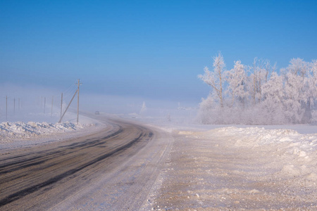 阳光明媚的一天，白雪覆盖的树木在雾中形成美丽的冬季景观