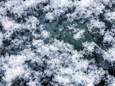 玻璃上的雪。 冬季一月。