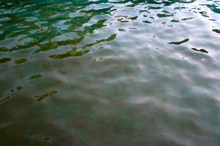 水池里水的背景