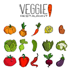 一套各种手绘蔬菜。 不同食物的草图。 孤立于白色