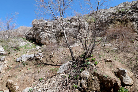 山石丘陵绿色草地春季景观