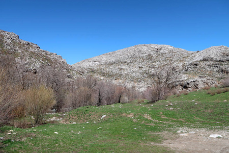 山石丘陵绿色草地春季景观