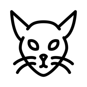 家用猫或小猫，简单的线条插图