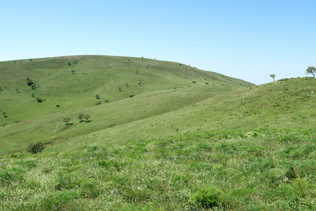 青山春山.