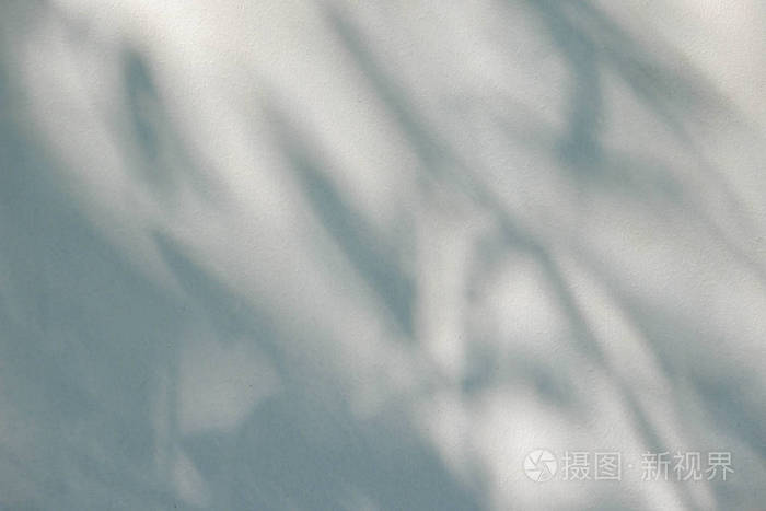 黑色和白色抽象的背景文字,阴影叶子在混凝土墙上