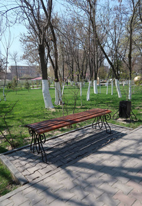 公园春天的木凳