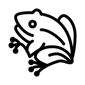 两栖青蛙或蟾蜍简单线条插图照片