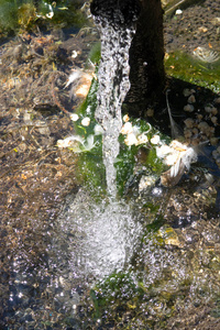 在街上，水从管子里流出来