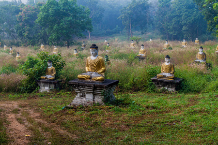 缅甸HPA附近有一排排佛像的兰比尼花园
