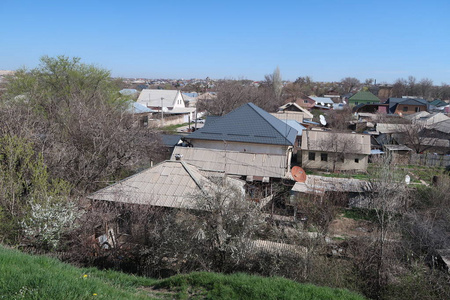 景观绿色草地和房屋村