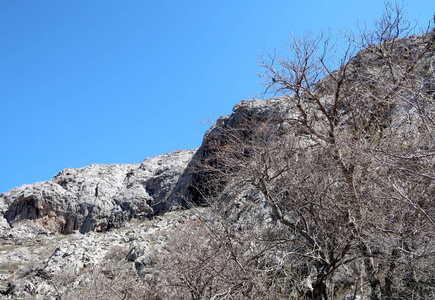 山石山绿草地春景