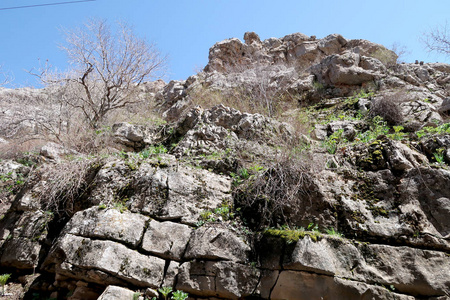 山石山春景