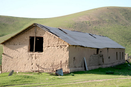 景观绿色草地和房屋村