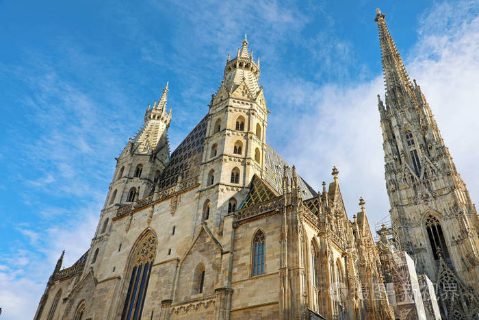 scathedralstephansdomthemotherchurchoftheromancatholic