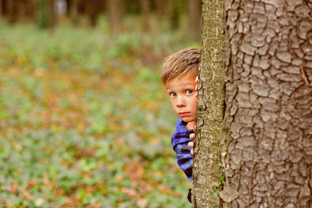 每天都有一个惊喜。小男孩躲在树后面。小男孩在森林里玩偷看游戏。真是个惊喜