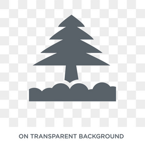 冷杉图标。 冷杉设计理念来自冬季收藏。 透明背景上的简单元素矢量插图。