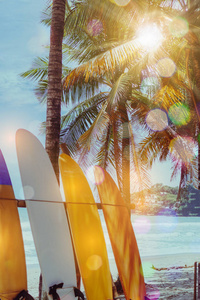 许多冲浪板旁边的椰子树在夏季海滩，阳光和蓝天背景。