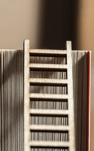 书页和梯子。 教育和知识上有阶梯的概念。 木制梯子的小微型。