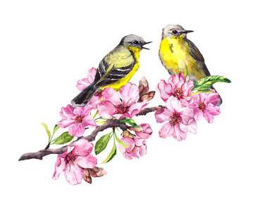 鸟与梅花水墨画图片