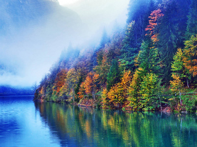 瑞士甘蓝湖或甘蓝谷斜坡上的秋季森林