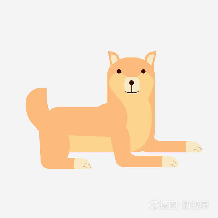 可爱卡通日本shibainu狗矢量平面shibainu狗肖像孤立背景