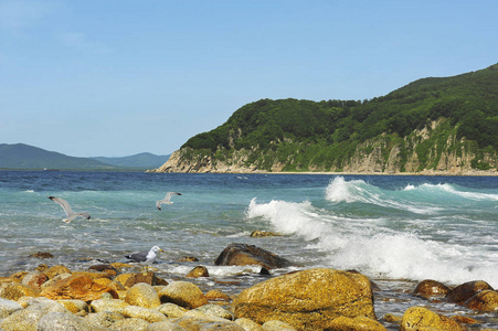 海流海相基哈切夫海峡位于日本海东海岸，俄罗斯远东