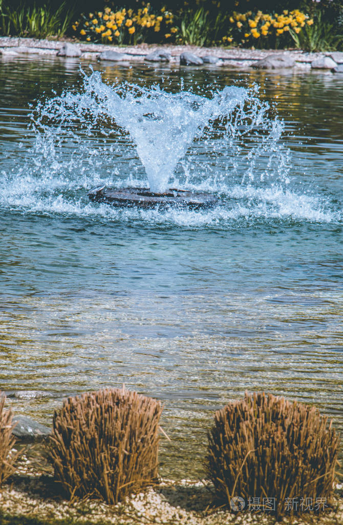 喷泉在公园的水池里涌出闪闪发光的水