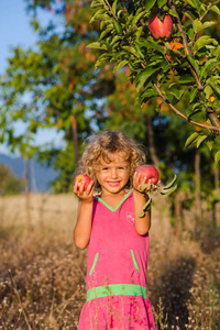 可爱的卷发女孩在花园里摘熟的苹果