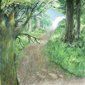 自然景观艺术彩色绘画插图自然路径与森林。美丽的场景野生。乡村道路概念