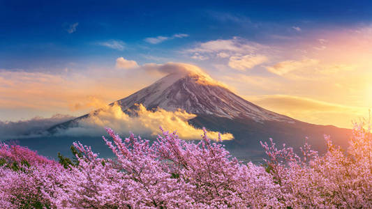 日本春季的富士山和樱花。