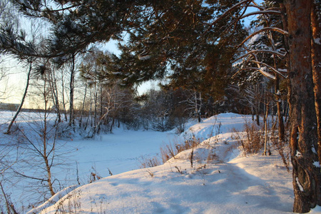 俄罗斯的冬季景观是雪覆盖的河流和树木冬天是寒冷和霜冻的。冬天的季节里有很多白雪。河流和森林岸边的树木被雪覆盖。