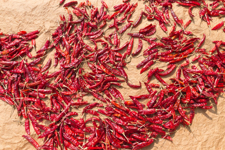 红辣椒在阳光下干燥。