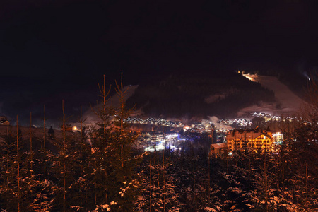 冬季森林附近的山村夜景