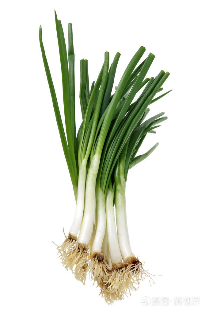 白色背景下分离的一束新鲜葱