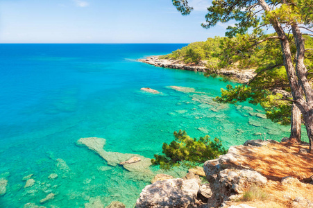 美丽的海岸与绿松石水和松树附近的凯默火鸡。 夏季景观