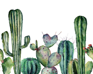 沙漠仙人掌手绘图片-沙漠仙人掌手绘素材-沙漠仙人掌手绘插画-摄图新