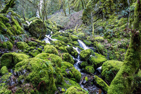 s famous Columbia River Gorge. Pacific Northwest