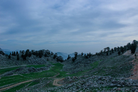 山岩景观，松林和绿色草地。n.狼人的方式。土耳其的自然背景