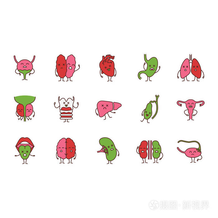 人体内脏器官颜色图标