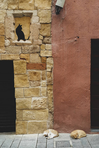 两只猫睡在Ganitz的两栋房子上，房子是黄色的砖，上面涂着脏橙色的，墙上画着一只黑猫，西班牙塔拉戈纳