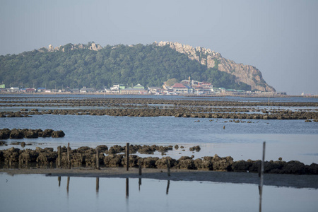牡蛎养殖场在安西拉镇海岸附近的贝昂森，在普罗文茨昌布里在泰国。 2018年11月