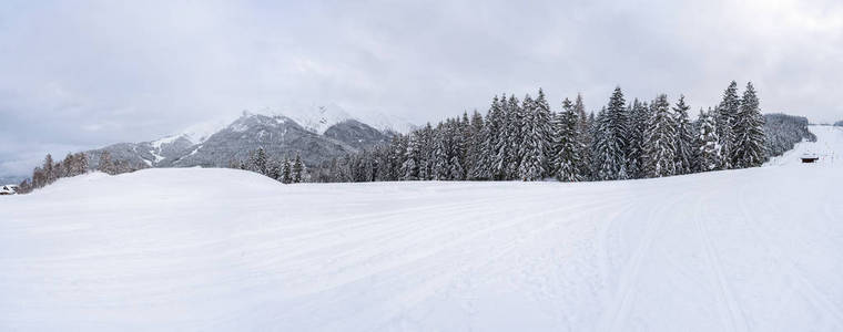 广泛的全景冬季景观与雪覆盖的树木在希菲尔德在奥地利的蒂罗尔州。 奥地利冬季