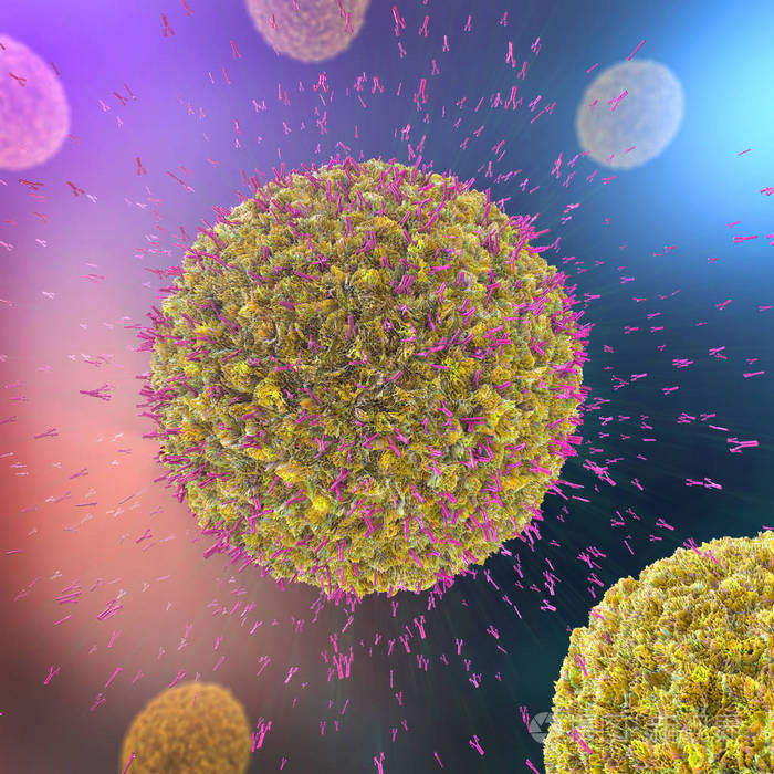 攻击病毒细胞进入血液的抗体的三维图