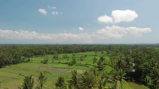 4k. 美丽的热带景观鸟瞰图。巴厘岛岛