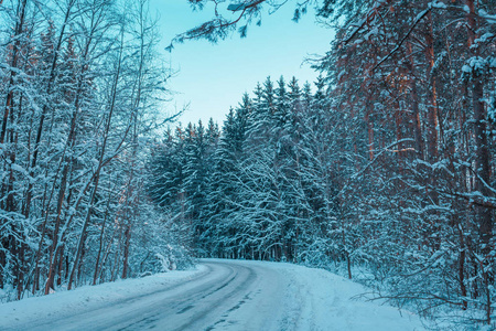 冬林雪覆盖路..时髦的老式颜色